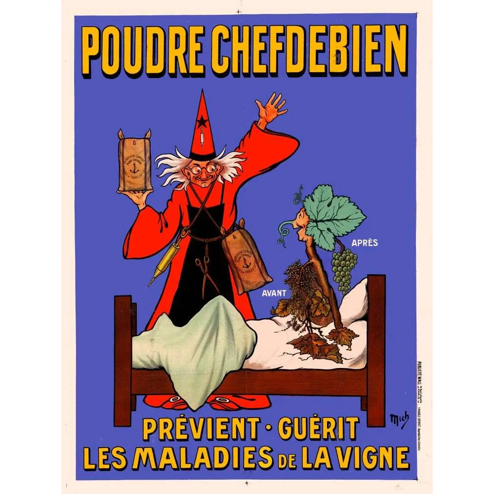 Pub vintage Poudre Chefdebien – Maladies de la vigne début XXe Pub vintage Poudre Chefdebien – Maladies de la vigne début XXe