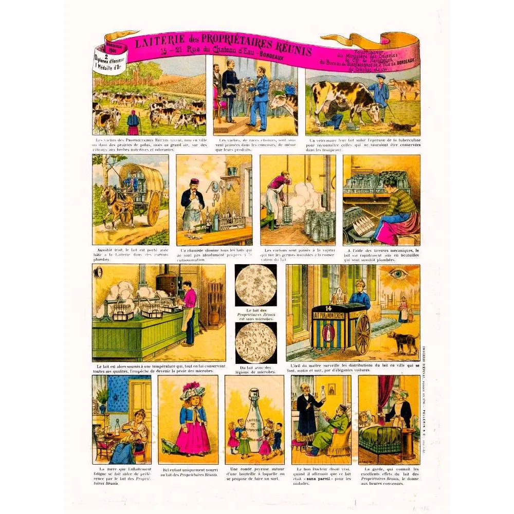 Planche publicitaire Laiterie Propriétaires Réunis Bordeaux 1900 | Cadeau-Souvenir Planche publicitaire Laiterie Propriétaires Réunis Bordeaux 1900 | Cadeau-Souvenir