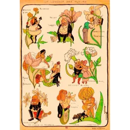 Planche Langage des Fleurs Illustration Humoristique Lerique Caricature – Fac-similé de document ancien