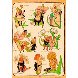 Planche Langage des Fleurs Illustration Humoristique Lerique Caricature – Fac-similé de document ancien