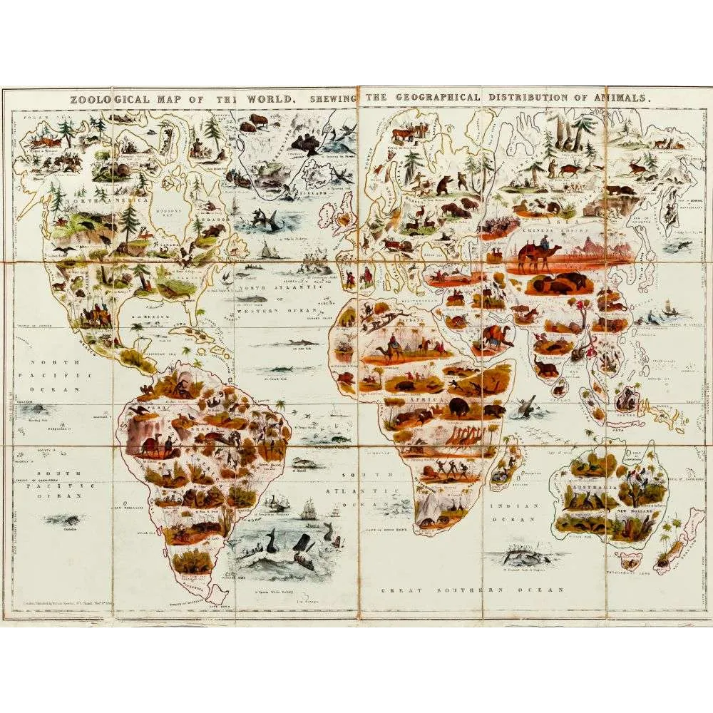 Carte Zoologique du Monde Répartition Animaux XIXe siècle – Cartographie ancienne Carte Zoologique du Monde Répartition Animaux XIXe siècle – Cartographie ancienne