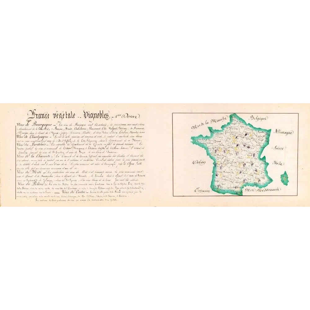 Carte manuscrite ancienne France vignobles XIXe siècle