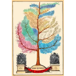 Illustration ancienne Arbre historique de la France XIXe siècle