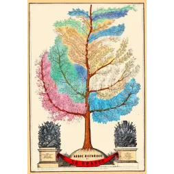 Illustration ancienne Arbre historique de la France XIXe siècle
