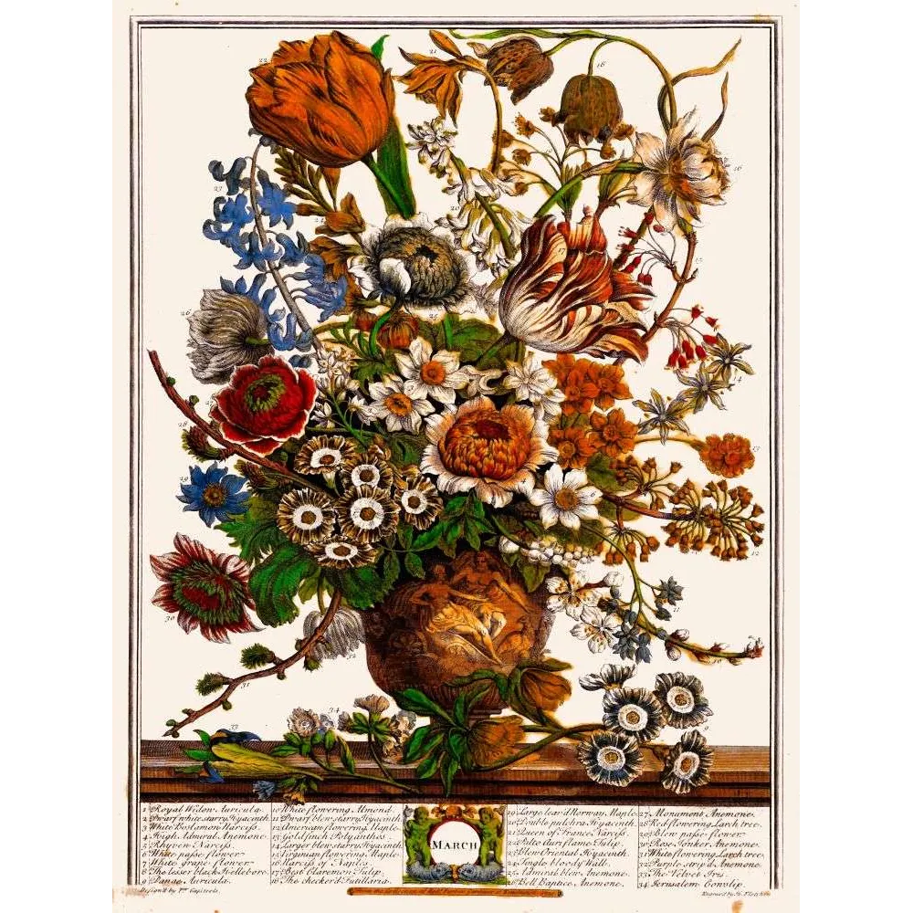 Bouquet de mars – Planche botanique illustrée Bouquet de mars – Planche botanique illustrée