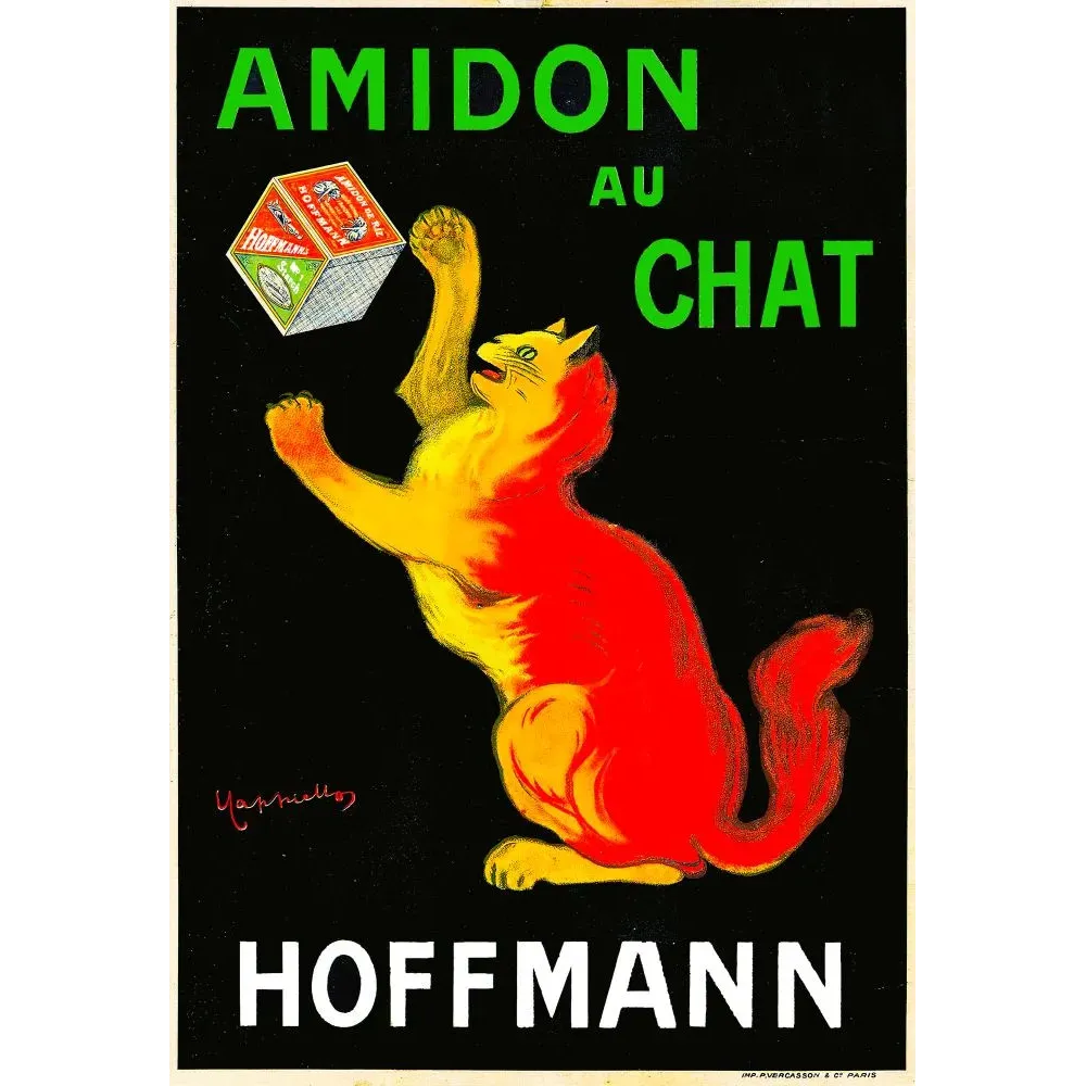 Affiche pub vintage amidon au Chat Hoffmann Cappiello chat rouge jaune fond noir boîte linge