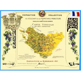Carte viticole Deux Charentes Exposition Bordeaux 1895 Cognac distilleries blasons Aunis Saintonge Angoumois Bailleau Camis