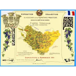 Carte viticole Deux Charentes Exposition Bordeaux 1895 Cognac distilleries blasons Aunis Saintonge Angoumois Bailleau Camis