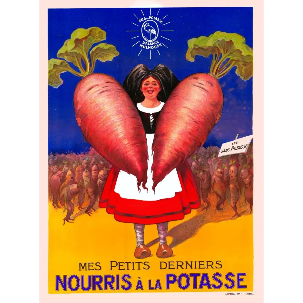 Affiche publicité Sels Potasse Alsace Mulhouse paysanne alsacienne betteraves géantes personnifiées humour Lapina Affiche publicité Sels Potasse Alsace Mulhouse paysanne alsacienne betteraves géantes personnifiées humour Lapina
