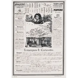 Document statistique Pyrénées-Orientales n°65 Perpignan Rigaud Arago carte Roussillon vins Canigou XIXe
