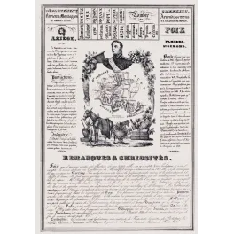 Document statistique Ariège n°8 Foix général Clausel Bayle carte Pyrénées paillettes or grottes XIXe