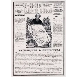 Document statistique Vaucluse n°81 Avignon cardinal Maury carte palais Papes fontaine Vaucluse Vernet XIXe