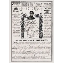 Document statistique Vienne n°83 Poitiers cardinal Balue Renaudot carte Poitou dentelles bataille XIXe