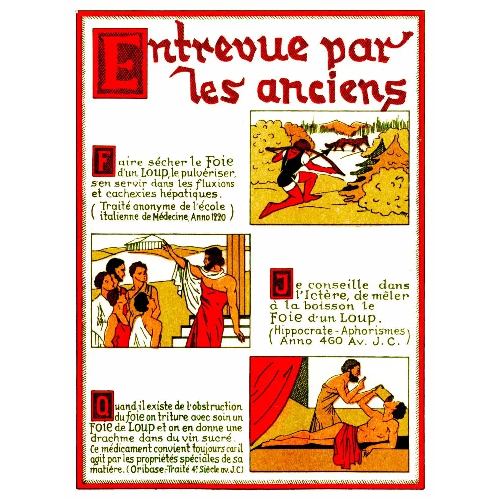 Publicité médicale illustrée Entrevue par les anciens foie de loup Hippocrate médecine antique humoristique Publicité médicale illustrée Entrevue par les anciens foie de loup Hippocrate médecine antique humoristique