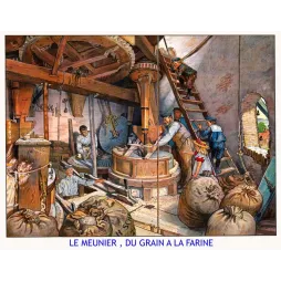 Illustration pédagogique Le Meunier du grain à la farine intérieur moulin meule engrenages sacs XIXe