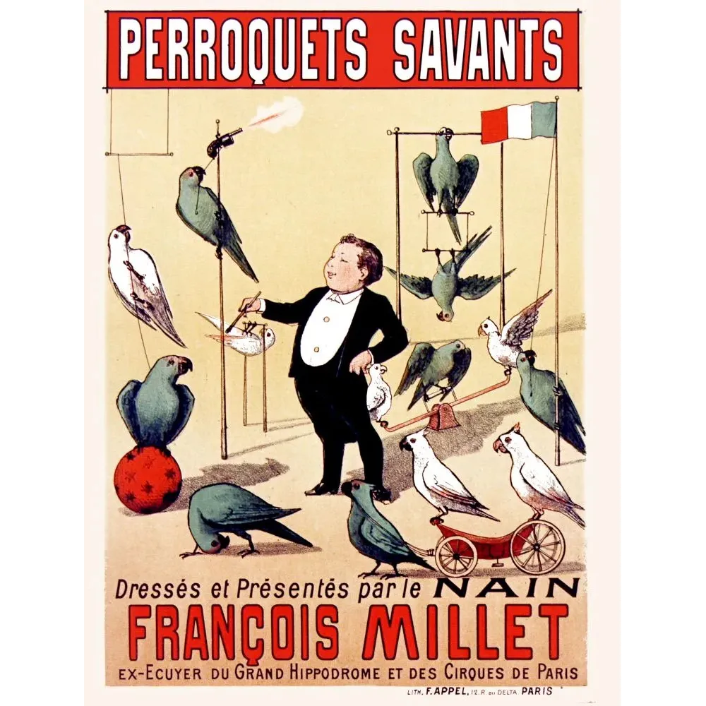 Affiche cirque Perroquets Savants nain François Millet Grand Hippodrome Cirques Paris perchoirs drapeau lithographie Appel Affiche cirque Perroquets Savants nain François Millet Grand Hippodrome Cirques Paris perchoirs drapeau lithographie Appel