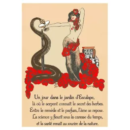 Illustration Art Nouveau Jardin d'Esculape Elk Eber 1912 Munich femme serpent coquelicots caducée amphore grecque