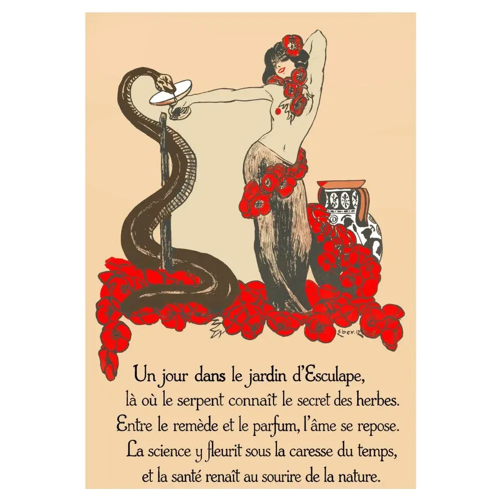 Illustration Art Nouveau Jardin d'Esculape Elk Eber 1912 Munich femme serpent coquelicots caducée amphore grecque