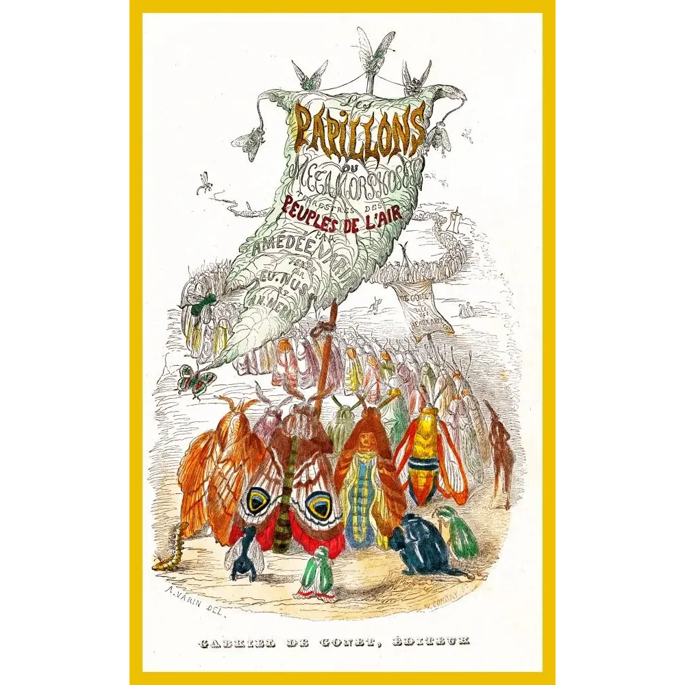 Illustration Les Papillons Amédée Varin 1852 papillons anthropomorphes procession Gabriel de Gonet Paris Illustration Les Papillons Amédée Varin 1852 papillons anthropomorphes procession Gabriel de Gonet Paris