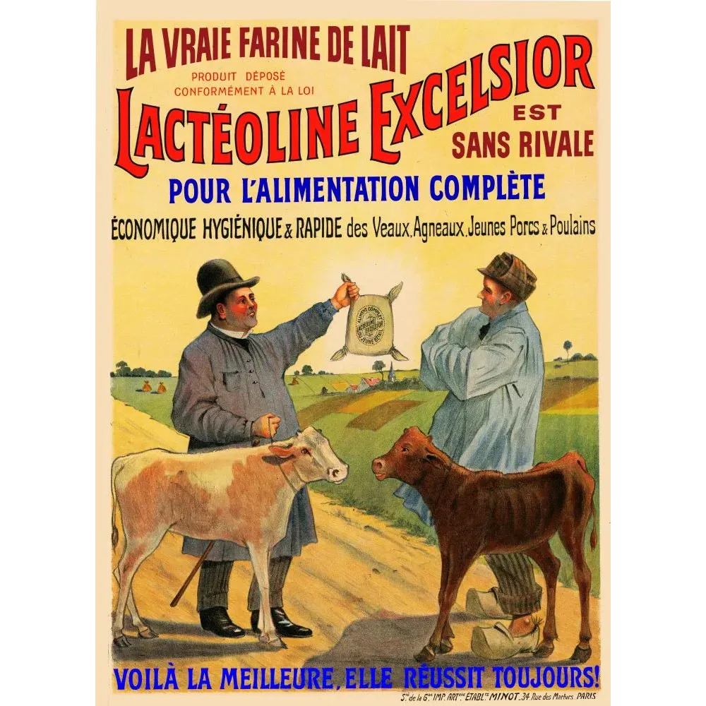 Lactéoline Excelsior farine de lait élevage Minot Paris - Publicité vintage Lactéoline Excelsior farine de lait élevage Minot Paris - Publicité vintage