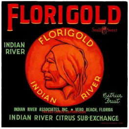 Florigold Indian River agrumes Floride Amérindien – Publicité vintage