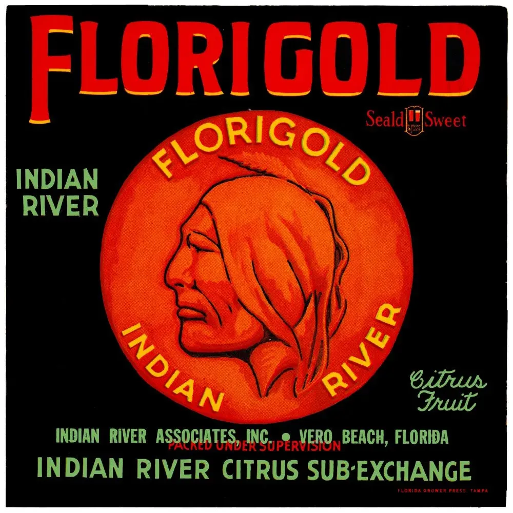 Florigold Indian River agrumes Floride Amérindien – Publicité vintage Florigold Indian River agrumes Floride Amérindien – Publicité vintage