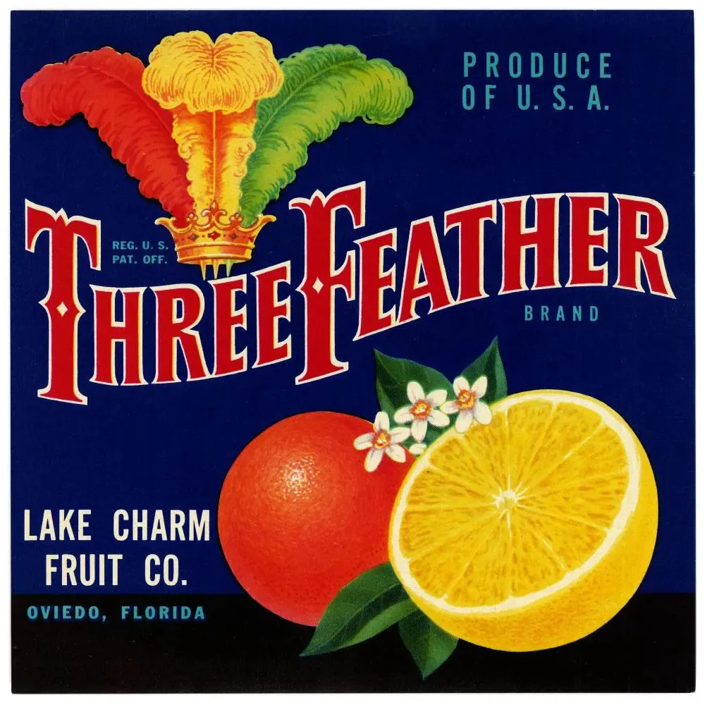 Three Feather Brand Oranges Floride Oviedo - Publicité vintage Three Feather Brand Oranges Floride Oviedo - Publicité vintage