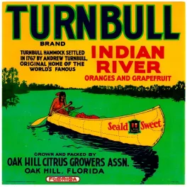 Turnbull Indian River Oranges Floride Oak Hill - Publicité vintage