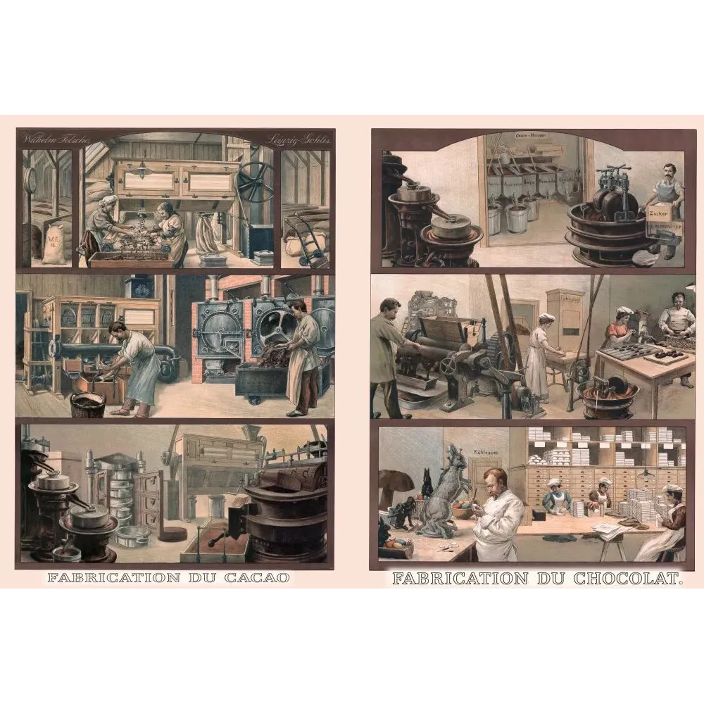 Planche éducative fabrication cacao chocolat Wilhelm Felsche Leipzig usine ouvriers machines XIXe siècle