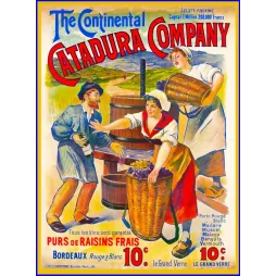 Publicité The Continental Catadura Company